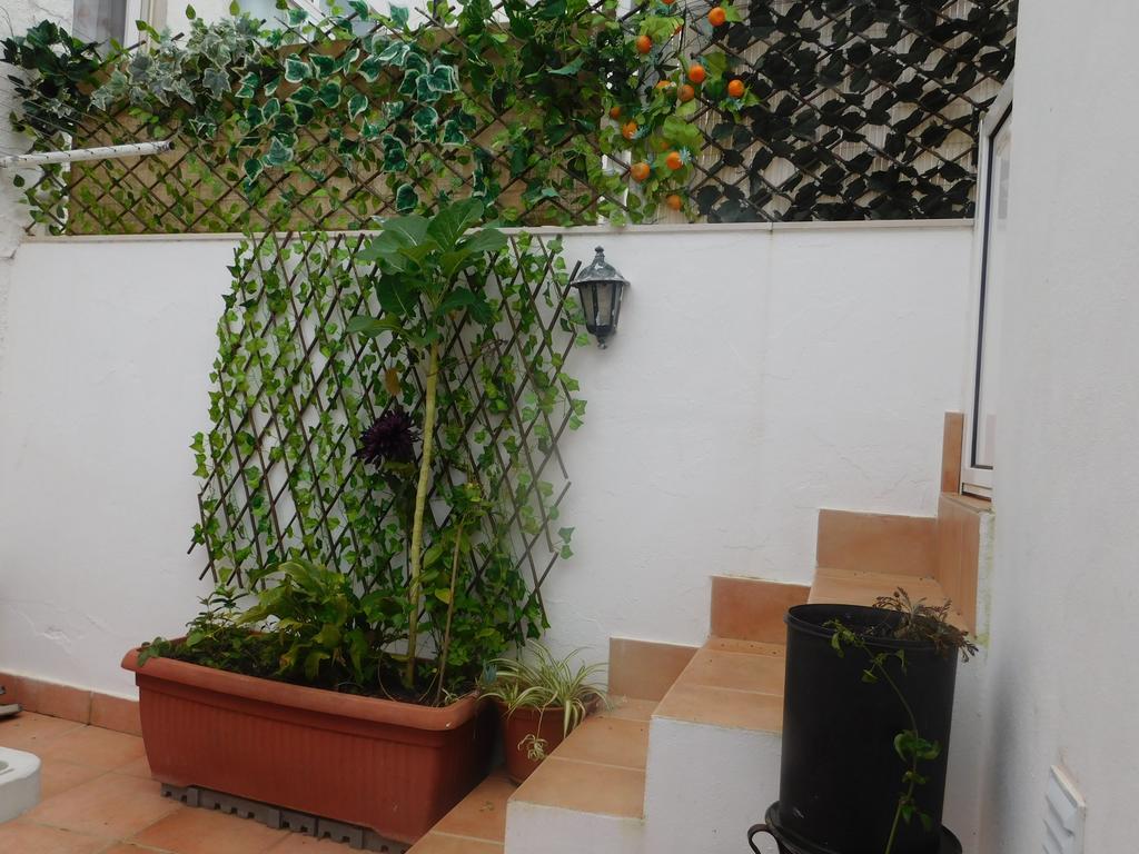 Dinas Guesthouse Guest house