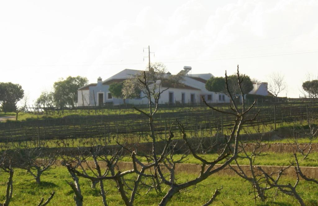 Farm stay Casas Na Vinha - Monte Da Casteleja, Wine Estate - Eco *