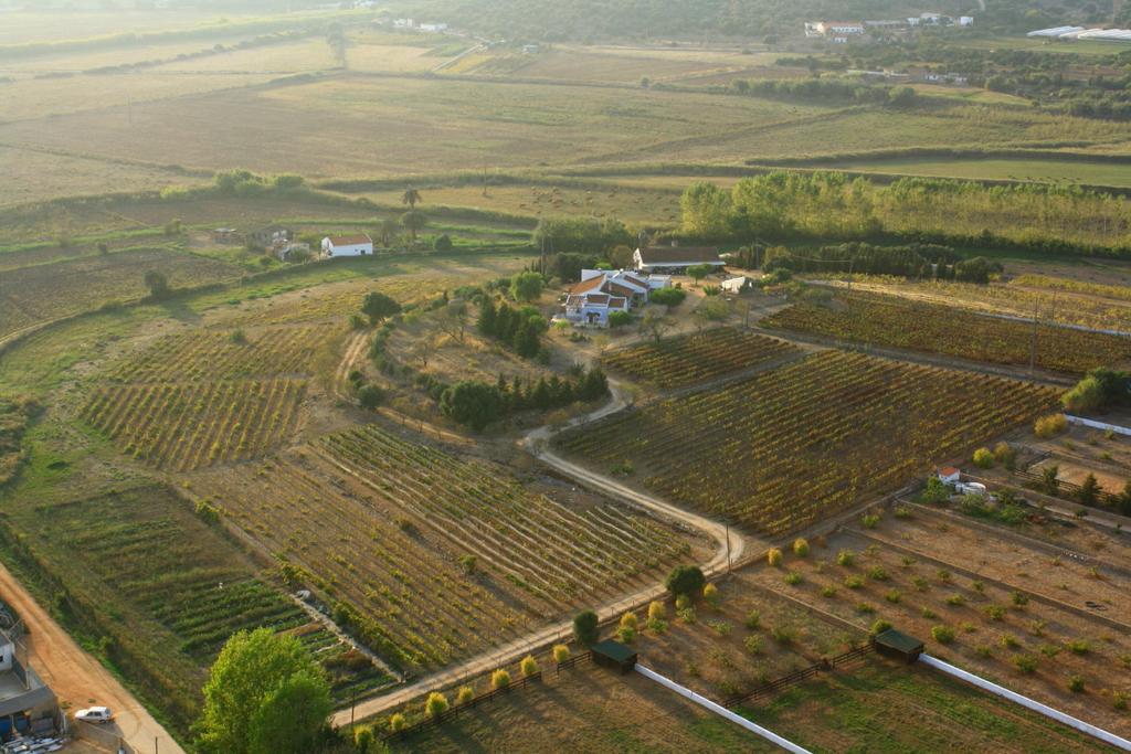 Casas Na Vinha - Monte Da Casteleja, Wine Estate - Eco Farm stay Lagos