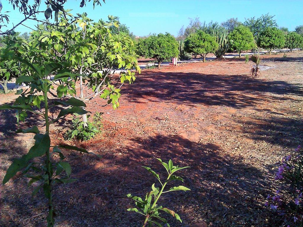 Quinta Casalinho Сasa de vacaciones *