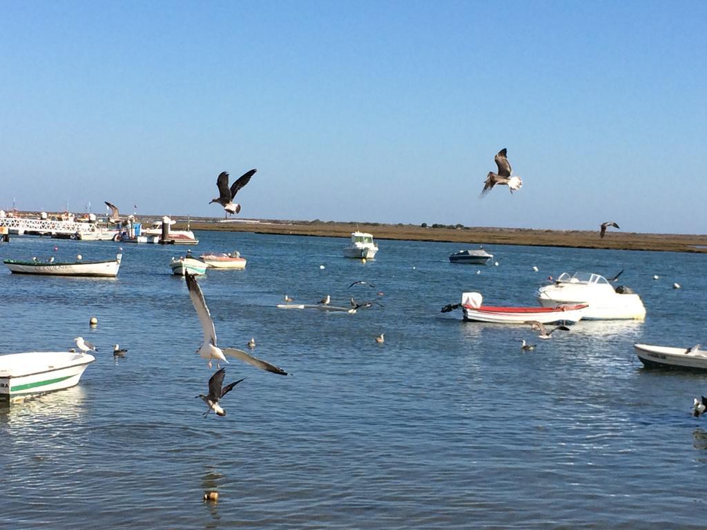 Dream Holidays @ Santa Luzia Tavira *