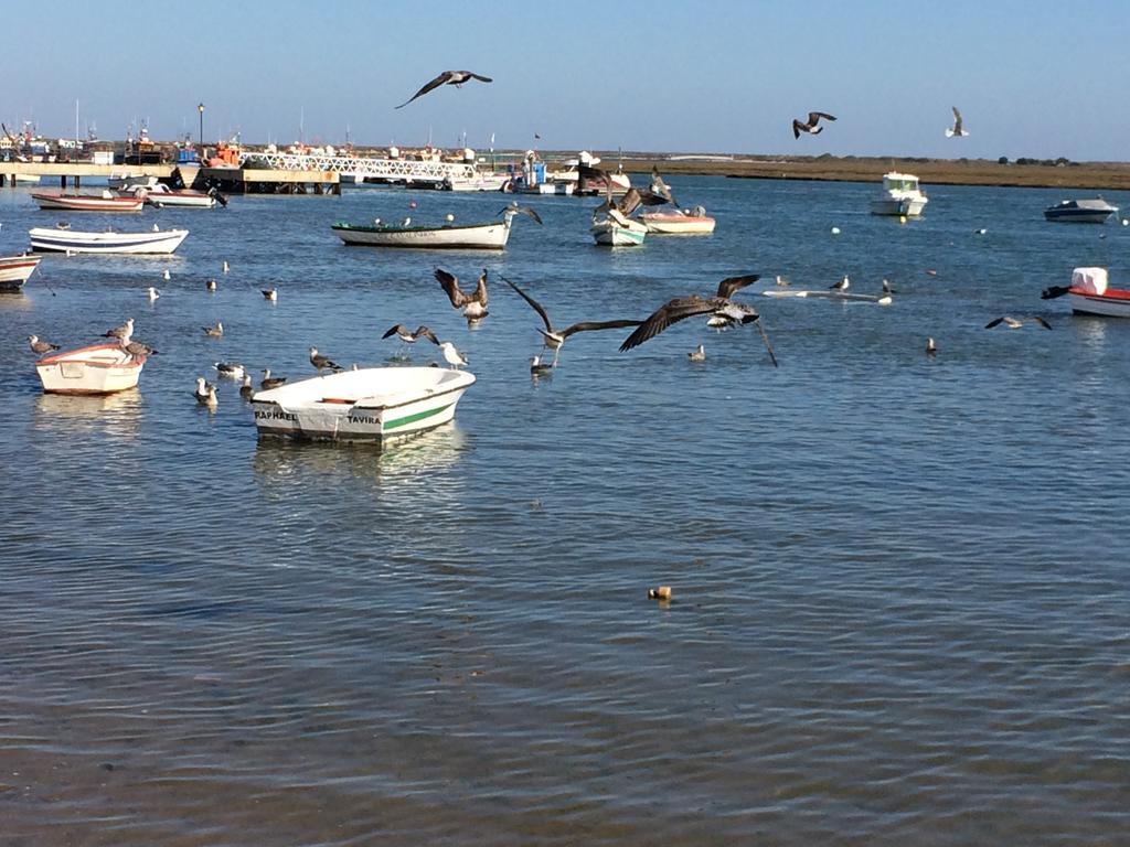 Dream Holidays @ Santa Luzia Tavira Apartment *