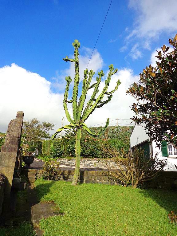 Holiday home Quinta De Milhafres Vila Franca do Campo