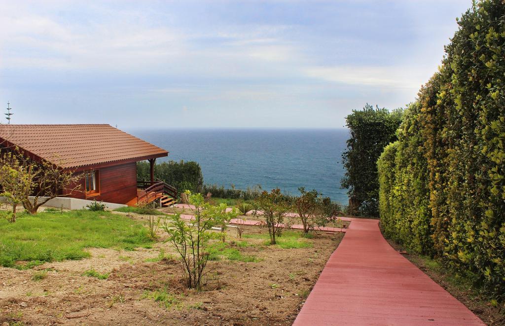 Quinta De Milhafres Holiday home *