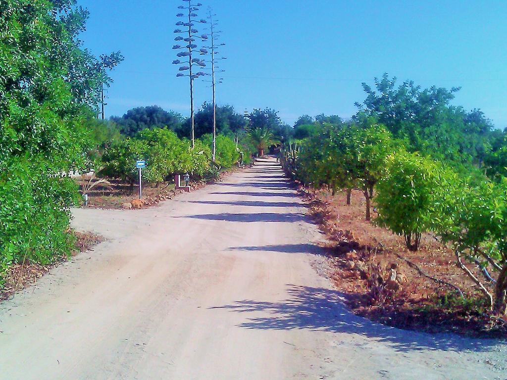Сasa de vacaciones Quinta Casalinho