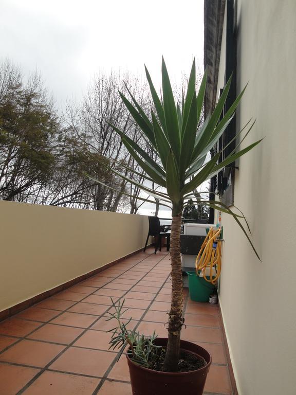 Apartment Alameda With Sea View *