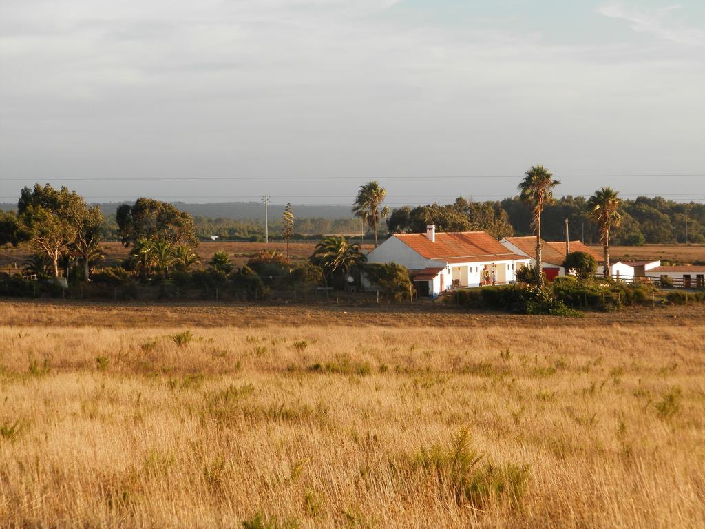 Herdade Do Pessegueiro Farm stay *