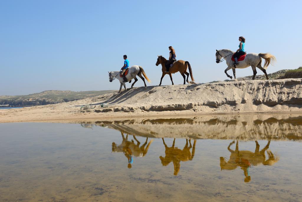Farm stay Herdade Do Pessegueiro