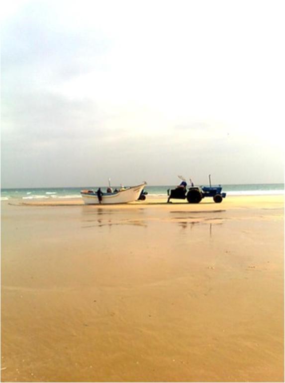 Joao De Barros Costa da Caparica