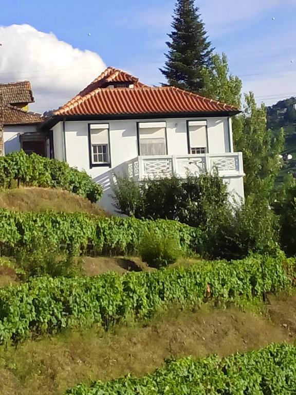 Quinta Do Fojo *