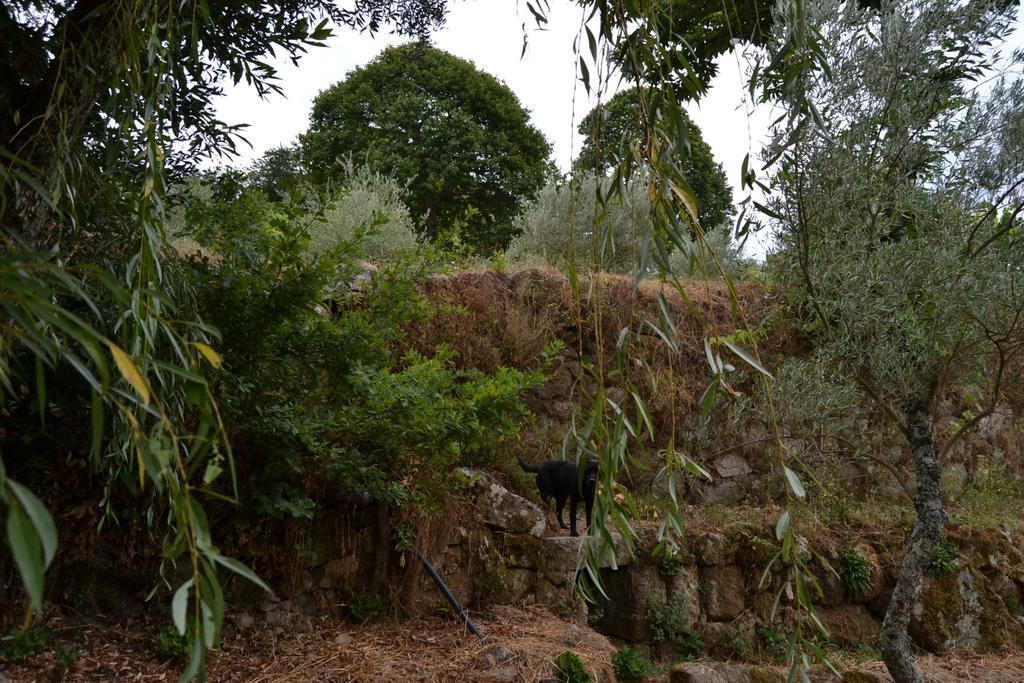Quinta Das Lamas E Salgueirinhos