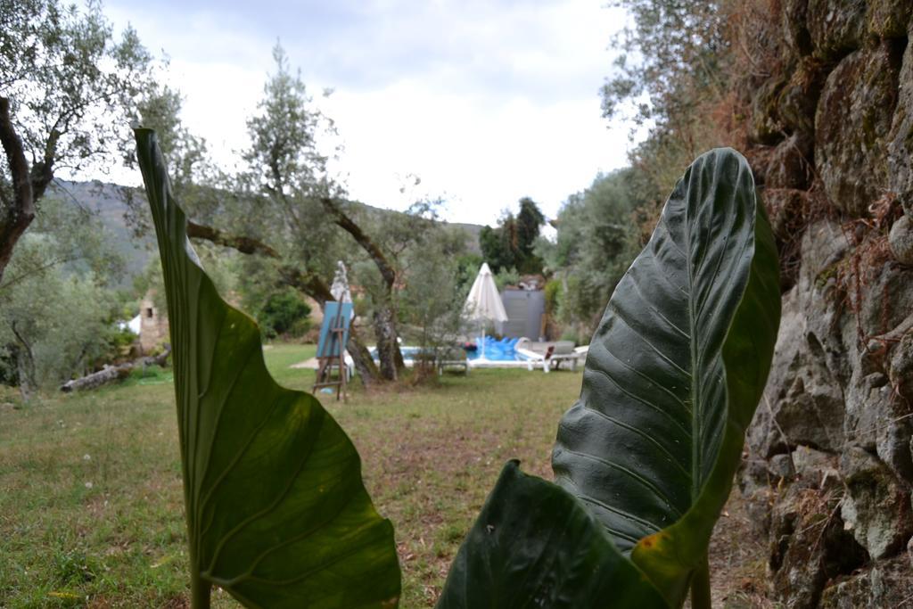 Farm stay Quinta Das Lamas E Salgueirinhos Resende