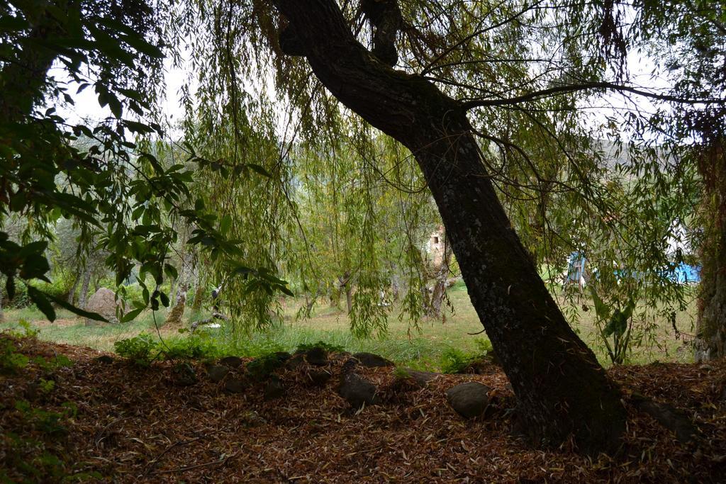 Quinta Das Lamas E Salgueirinhos * Resende