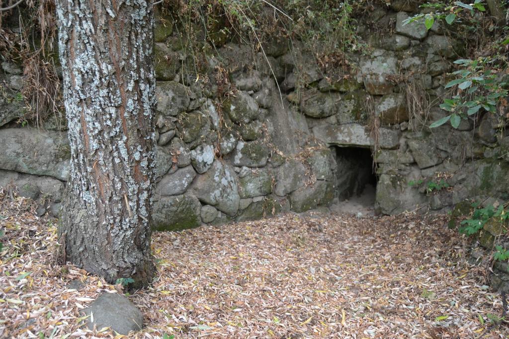 Quinta Das Lamas E Salgueirinhos Farm stay