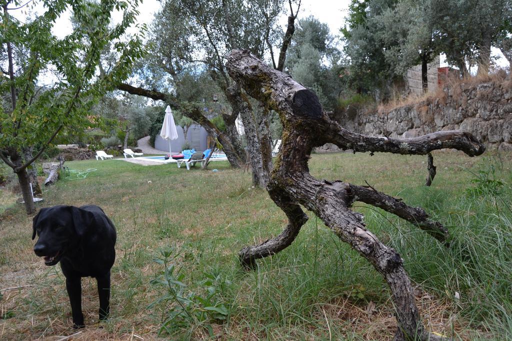 Farm stay Quinta Das Lamas E Salgueirinhos *