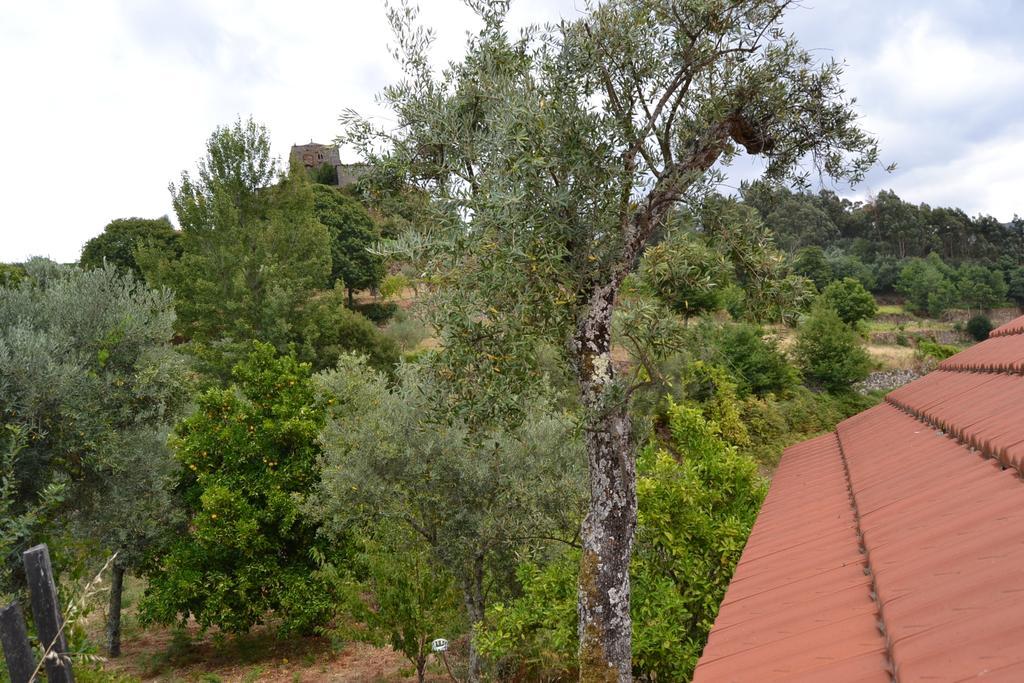 Farm stay Quinta Das Lamas E Salgueirinhos Resende