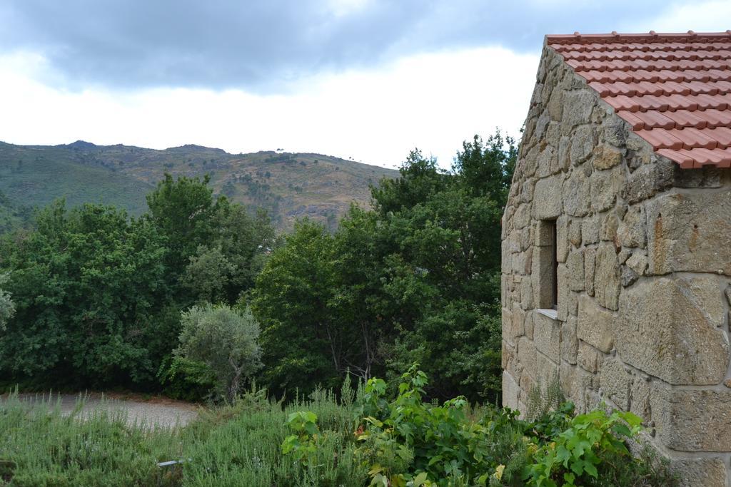 Farm stay Quinta Das Lamas E Salgueirinhos