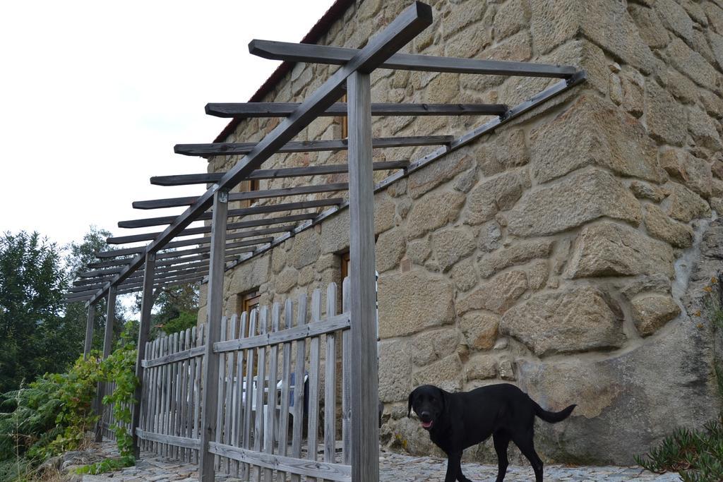 Quinta Das Lamas E Salgueirinhos *