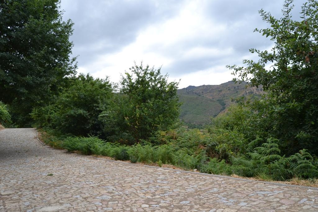 Quinta Das Lamas E Salgueirinhos Farm stay Resende
