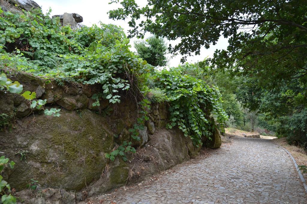 Quinta Das Lamas E Salgueirinhos Resende