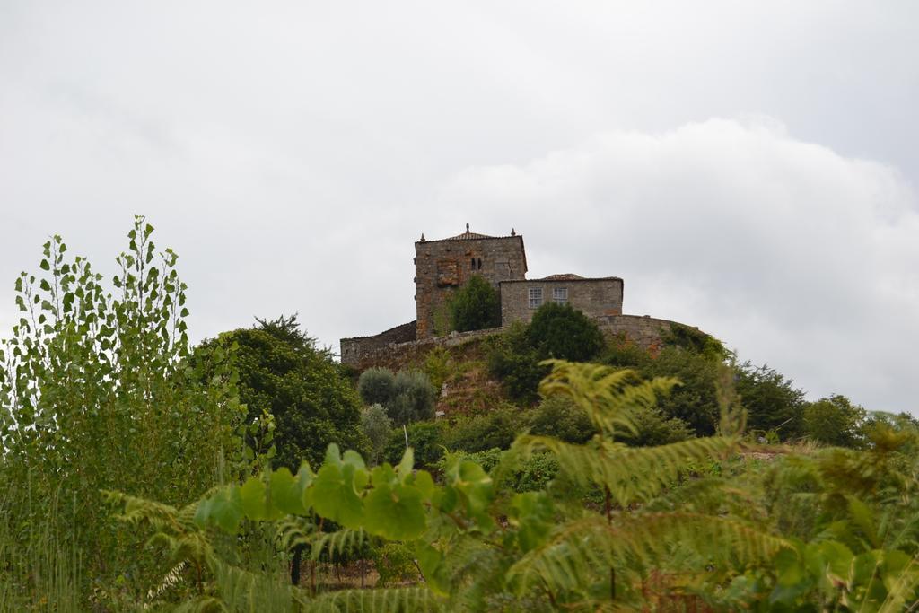 Quinta Das Lamas E Salgueirinhos Farm stay Resende