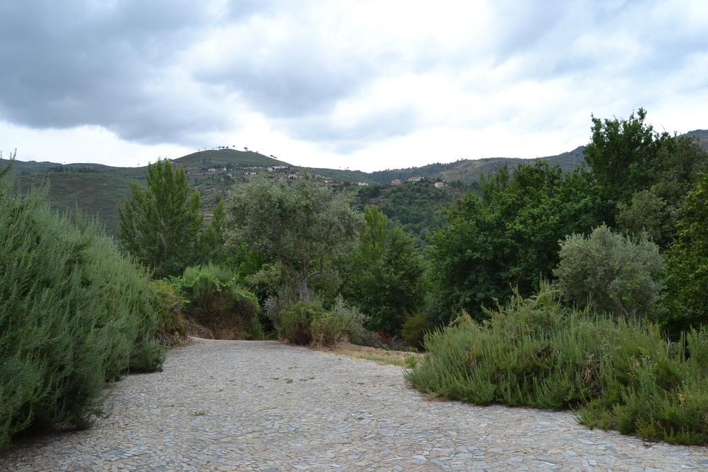 Quinta Das Lamas E Salgueirinhos Farm stay