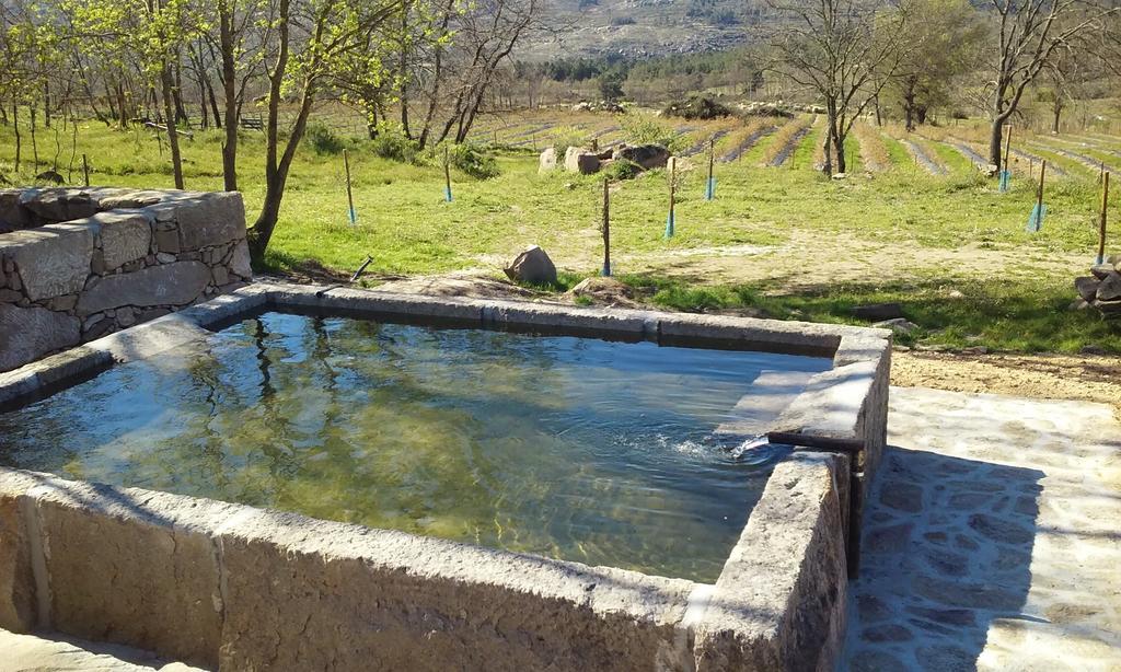 Quinta Dos Carvalhais - Serra Da Estrela *
