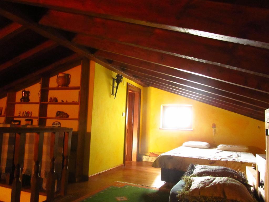Homestay Golf & Surf House Praia del Rei
