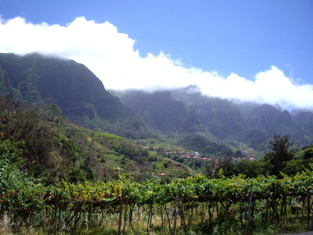 Holidays Madeira * Sao Vicente (Madeira)