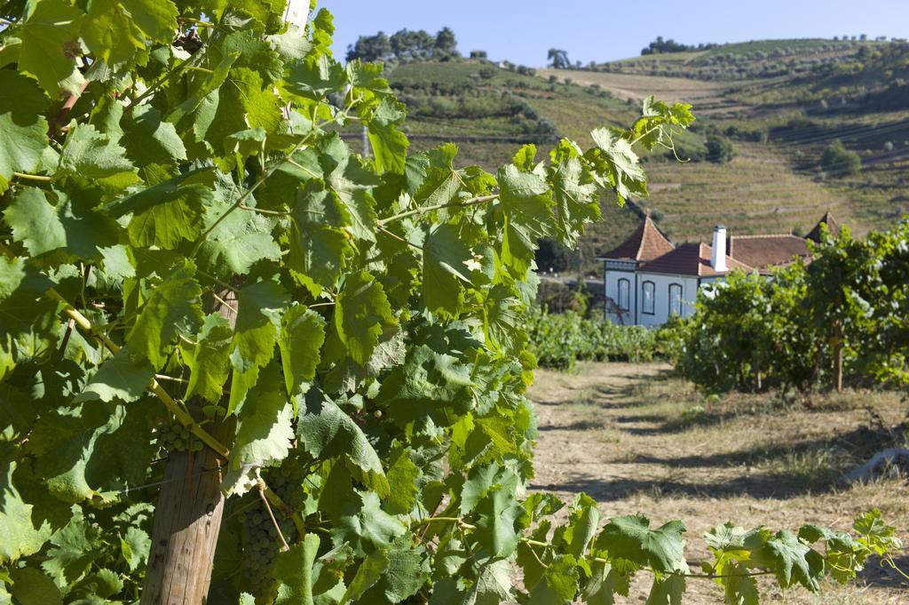 Chácara Casa De Cambres Lamego