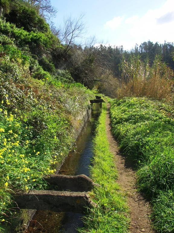 Palma Madeira Wandern Und Tauchen Apartamento *