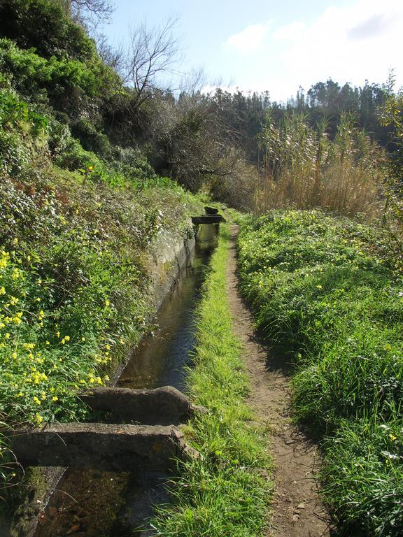 Apartamento Palma Madeira Wandern Und Tauchen Caniço