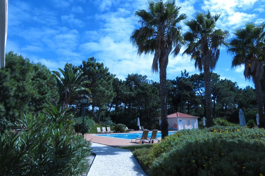 Casa Pinha *