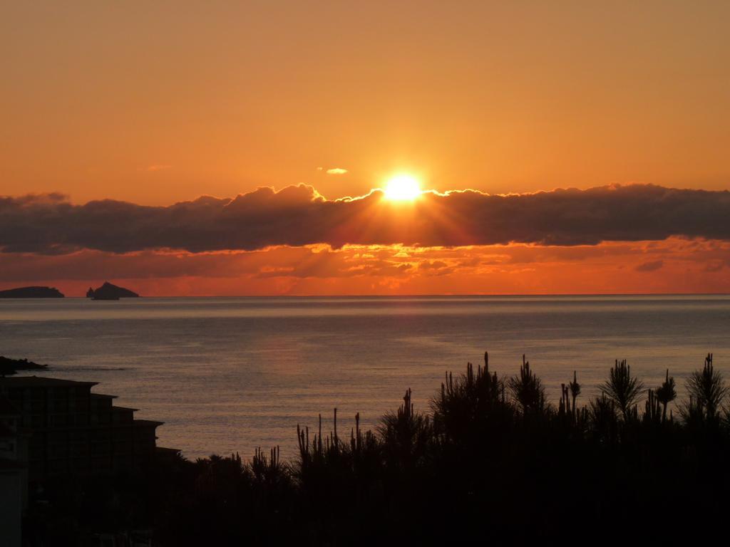 Palma Madeira Wandern Und Tauchen *