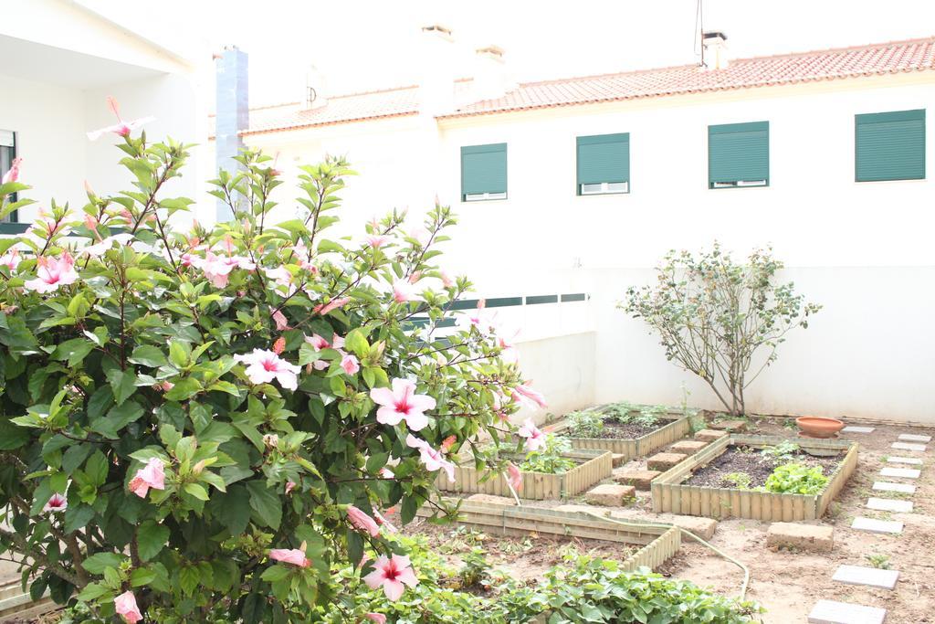 Canas House - Al * Areia Branca