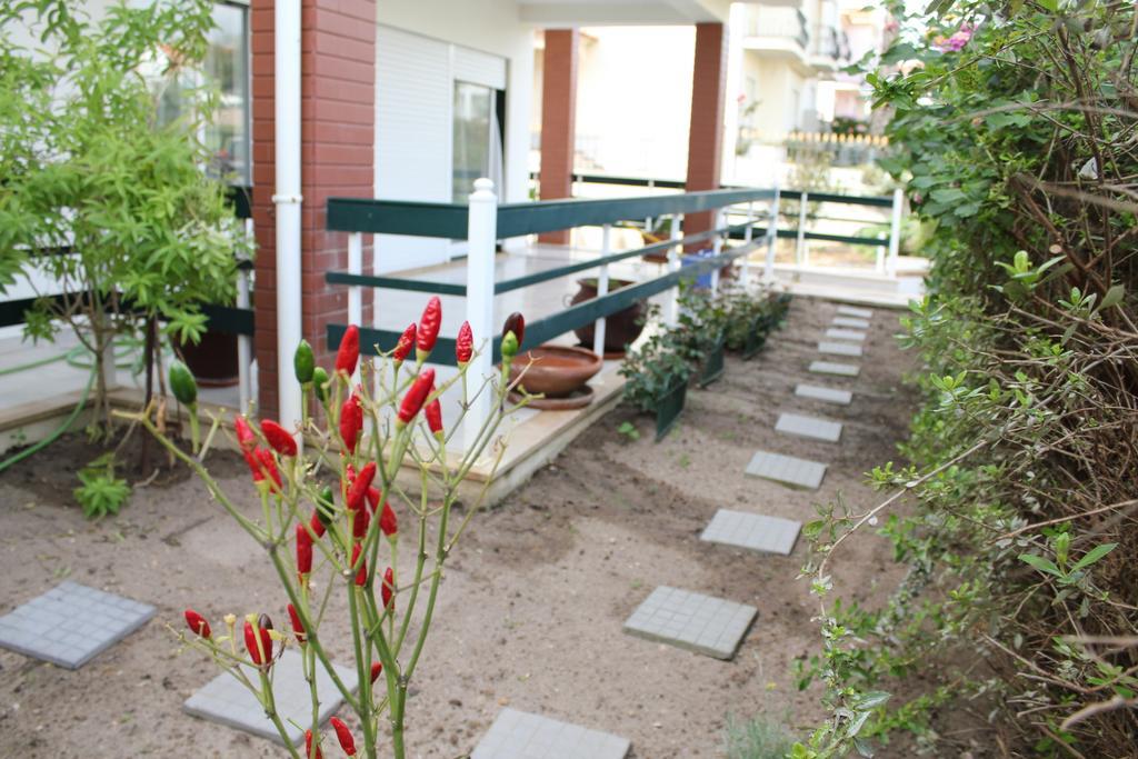 Canas House - Al Сasa de vacaciones Areia Branca