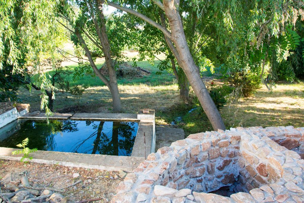 Rural Monte Da Provenca Hotel Elvas