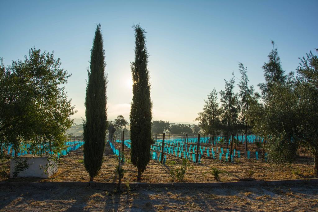 Hotel Rural Monte Da Provenca 4*