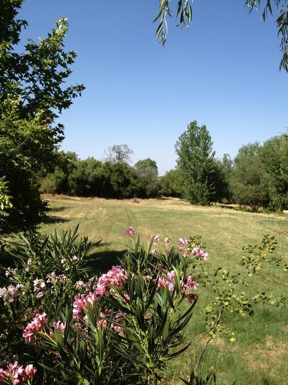 Rural Monte Da Provenca Hotel