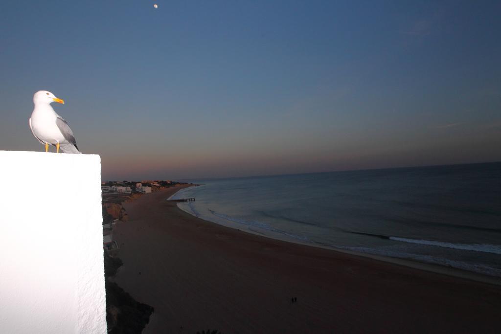 Rocamar Exclusive & - Adults Only Hotel Albufeira