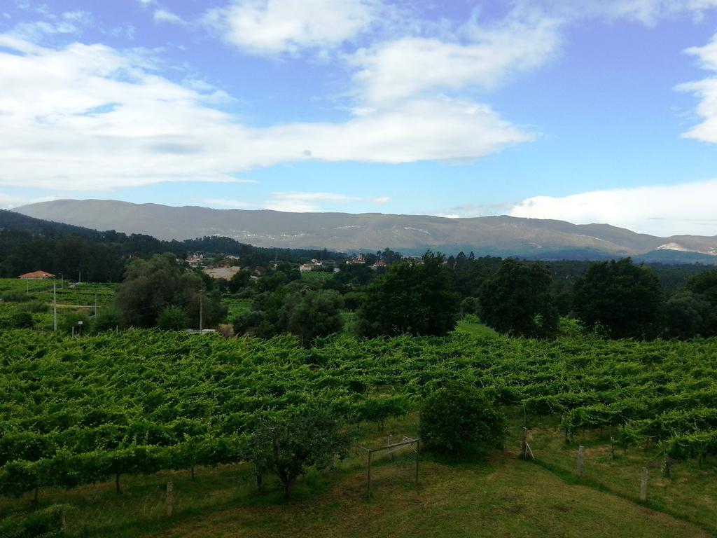 Farm stay Quinta Da Teimosa *