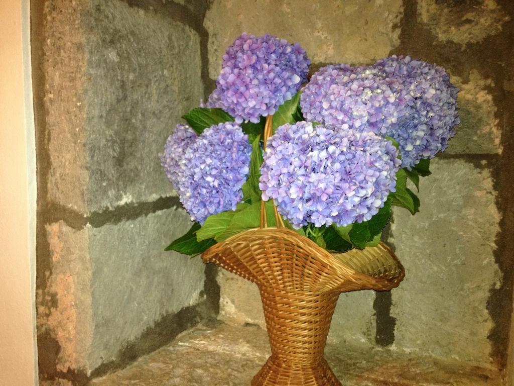 Moradia Rustica * Caloura
