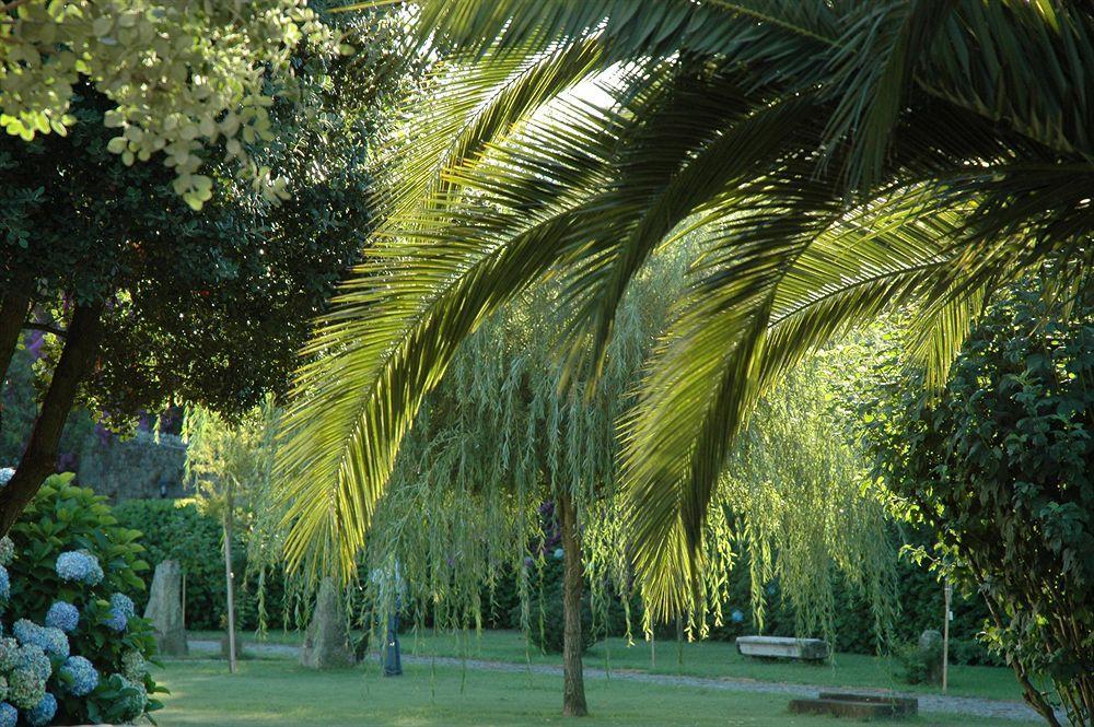 Quinta Alfaias Guest house