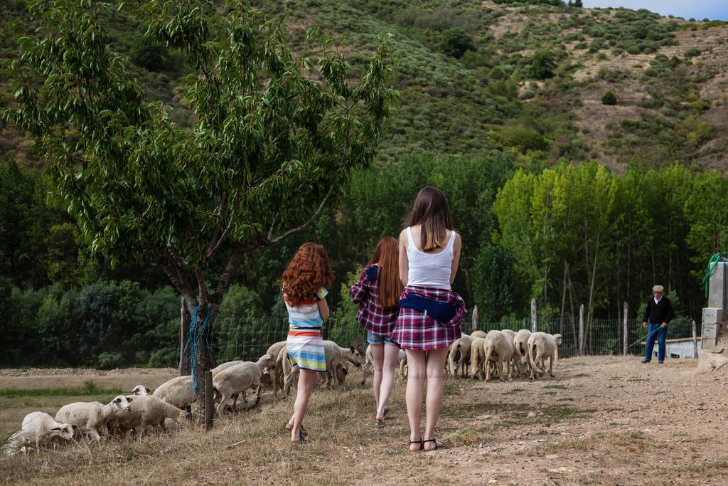 A. Montesinho Turismo Vakantieboerderij *