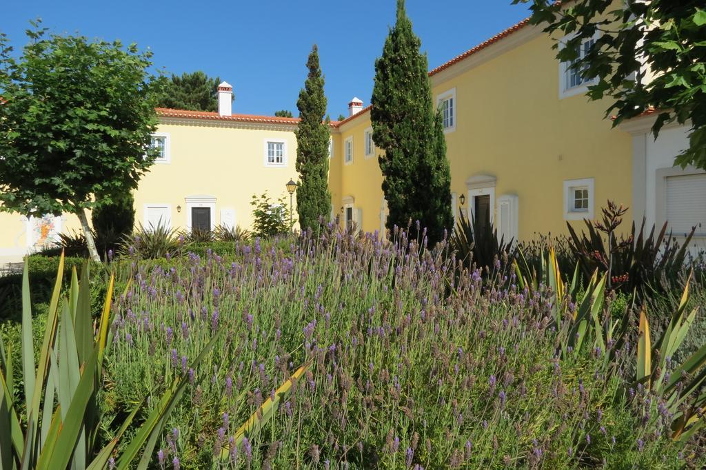 Villa Casa Pinha *