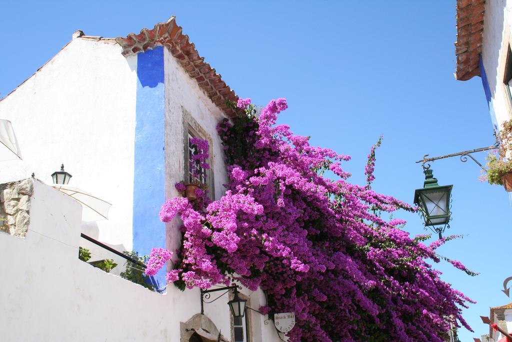 Casa Pinha Villa