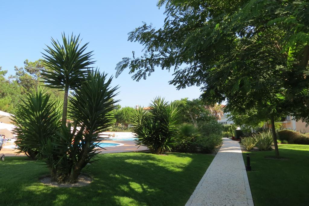 Villa Casa Pinha *
