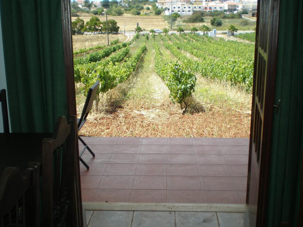 Horta Nova *