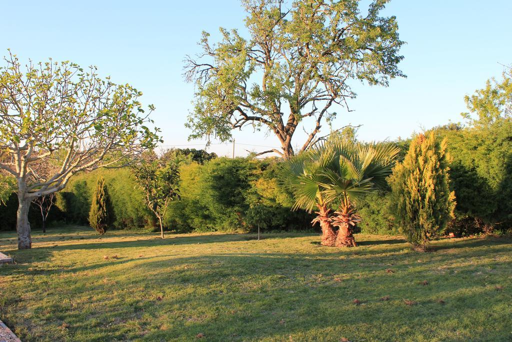 Holiday home Horta Nova *