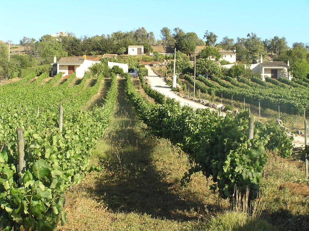 Holiday home Horta Nova